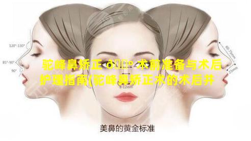 驼峰鼻矫正 🐺 术前准备与术后护理指南(驼峰鼻矫正术的术后并发症)